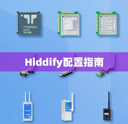 Hiddify配置指南