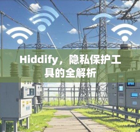 Hiddify,隐私保护工具的全解析
