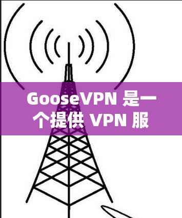 GooseVPN 是一个提供 VPN 服务的公司,旨在为用户提供匿名、安全的网络连接。以下是 GooseVPN 的主要功能介绍