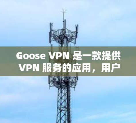 Goose VPN 是一款提供 VPN 服务的应用,用户可以通过它来保护隐私、匿名上网或访问受限的网络内容。以下是 Goose VPN 账号注册的新手使用流程