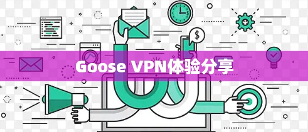 Goose VPN体验分享