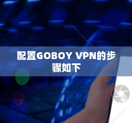 配置GOBOY VPN的步骤如下