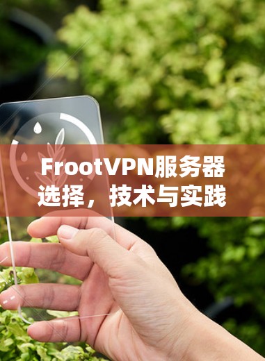 FrootVPN服务器选择,技术与实践指南
