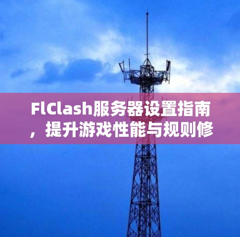 FlClash服务器设置指南，提升游戏性能与规则修改