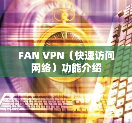 FAN VPN(快速访问网络)功能介绍