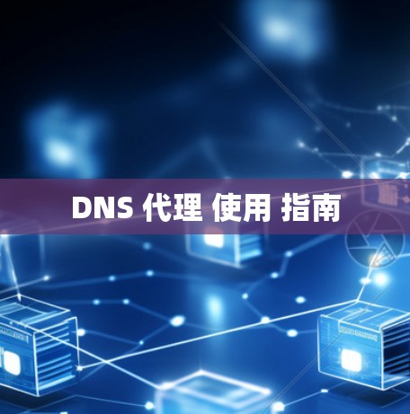 DNS 代理 使用 指南