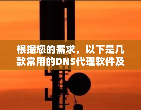 根据您的需求,以下是几款常用的DNS代理软件及其最新版本和特点