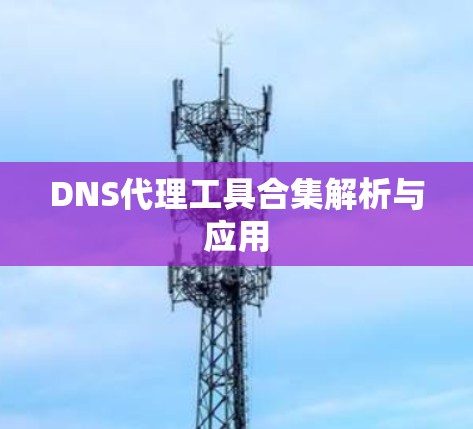 DNS代理工具合集解析与应用