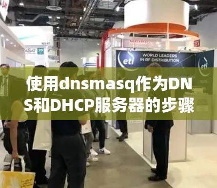 使用dnsmasq作为DNS和DHCP服务器的步骤如下