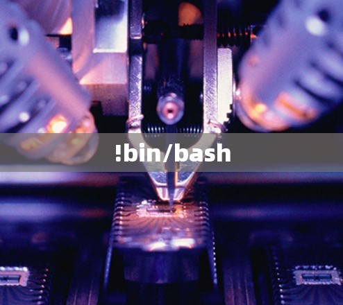 !bin/bash