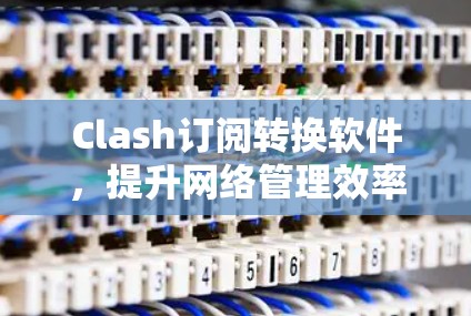 Clash订阅转换软件,提升网络管理效率的秘密武器